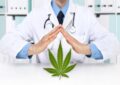 hands doctor with marijuana medical cannabis icon